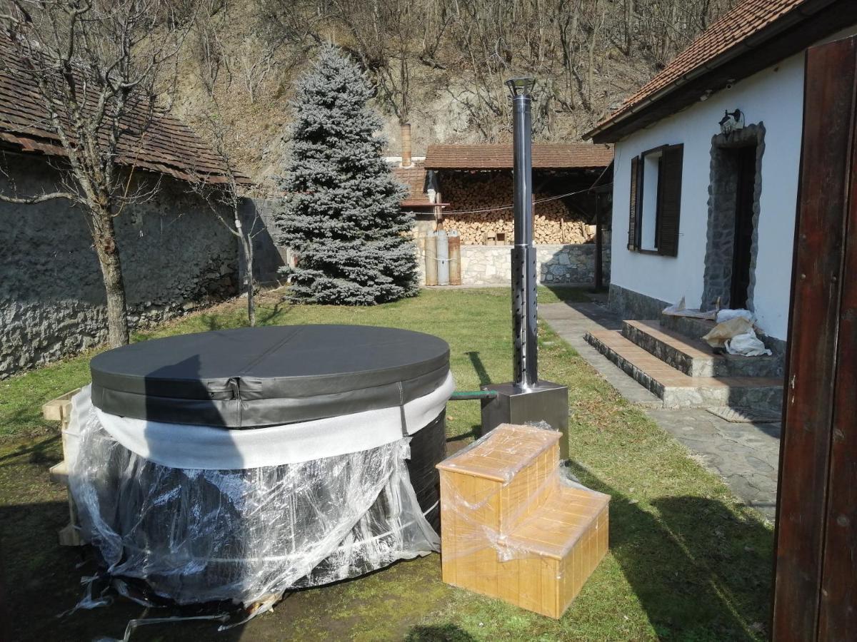 Casa Sasca Montana Βίλα Εξωτερικό φωτογραφία